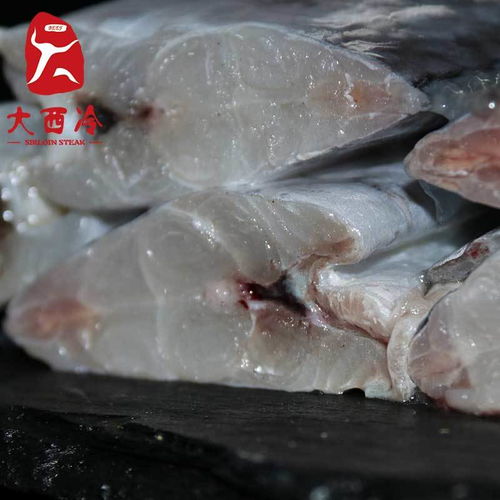 野生海鲜带鱼段水产冷冻海鱼刀鱼段中段批发小眼鱼鲜