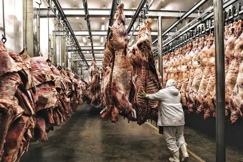 中国扩大对巴西冷冻肉的进口限制